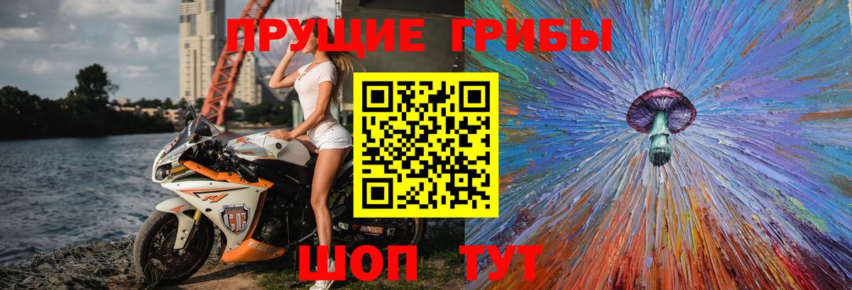 Псилоцибиновые грибы ЛСД Тельмана