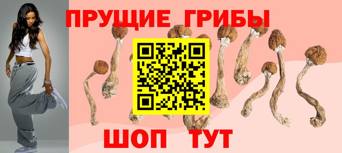 Тельмана  Галлюциногенные грибы прущие грибы  Вход с VPN 